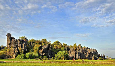 Lukisan Gua Leang-Leang, Sulawesi