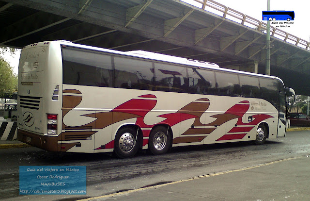 Pullman de Morelos Ejecutivo Dorado