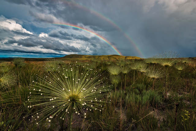 Relatório de Conservação 2019 da TNC - The Nature Conservancy Brasil