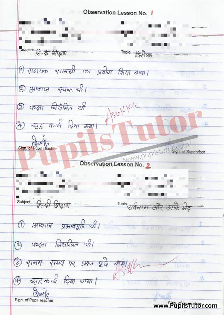 Hindi Vyakran Observation Lesson Plan on Visheshan and Sarvnam or Sarvnam ke Bhed for class 6 and 7 b.ed
