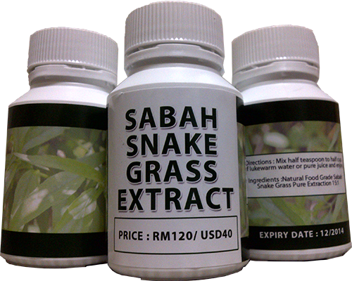 Daun Belalai Gajah: Kebaikan Sabah Snake Grass (SSG) Daun 