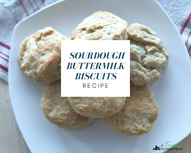 Enjoy fresh baked biscuits when you try out this Sourdough Buttermilk Biscuits recipe.