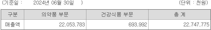 영업부문별 매출현황