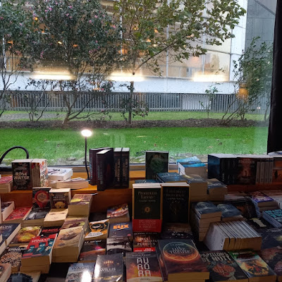 Des livres à la librairie et la pluie dehors