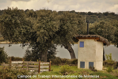 Monleras, Campos de Trabajo Internacionales de Monleras