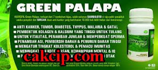 Jual Green Palapa HPAI Asli Original Surabaya Sidoarjo1