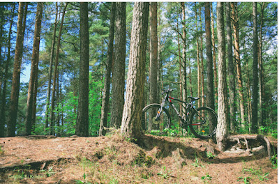 Find biking trails for every level of experience.