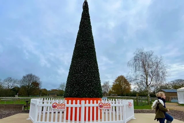 A Christmas tree which does special light shows at Odds Farm Park this December