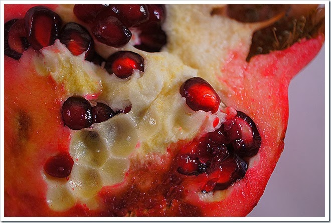 pomegranate-royalty-free-pictures-1 (1695) pomegranate-royalty-free-pictures-1 (1695)