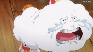 ワンピースアニメ 1034話 ゼウス かわいそう ZEUS | ONE PIECE Episode 1034