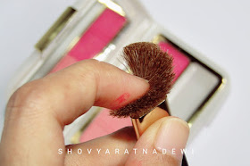 Beauty Blogger www.shovya.com