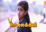 chellakili Banner Chellakili Sun Tv Tamil Serial 21 01 2014