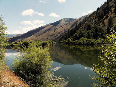 Tal am Salmon-River