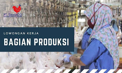 RUMAH PEMOMOTONGAN AYAM ( RPA ) PT. Samaco Karkasindo Utama JUWANA JL. Ujung No 2 Bendar Juwana membuka lowongan pekerjaan Di Butuhkan Bagian PRODUKSI, syarat : Lqki-laki/ Wanita  Ijazah Min SD/sederajat  Membawa Surat Lamaran Kerja  Daftar Riwayat Hidup  Foto Copy KTP  Foto Copy SKCK Jika Ada  Berpakaian Rapi & Sopan  Datang Langsung Interview tanggal 16 Agustus 2022 Jam 09 : 00 WIB PT Samaco Karkasindo Utama Juwana Jl. Ujung No, 2 Bendar Juwana