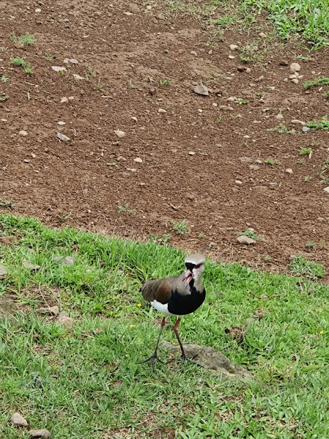 Caminhos de Caravaggio