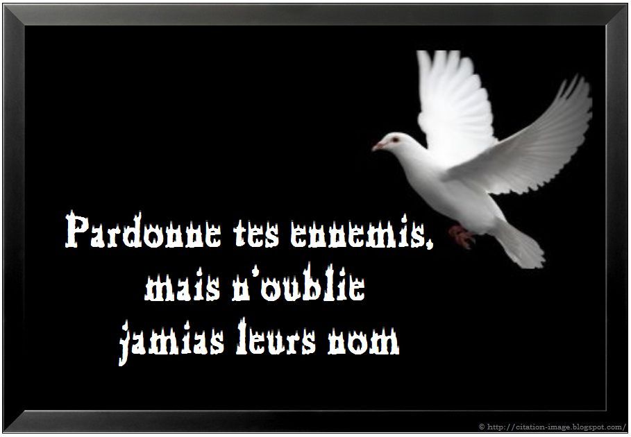 ... en image sur : citation conseil , citation pensÃ©e , pardon , regret