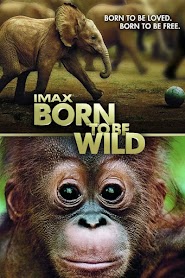 Born to Be Wild (2011)