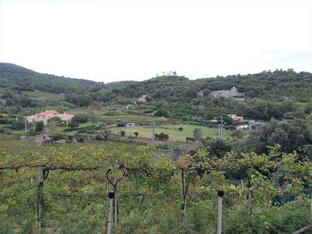 campagna nella zona delle Manie