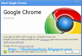 Google Chrome 2.0.172.33