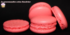 macaron-blanc-oeuf-en-poudre-deshydrate