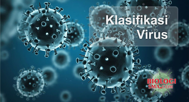 Klasifikasi Virus