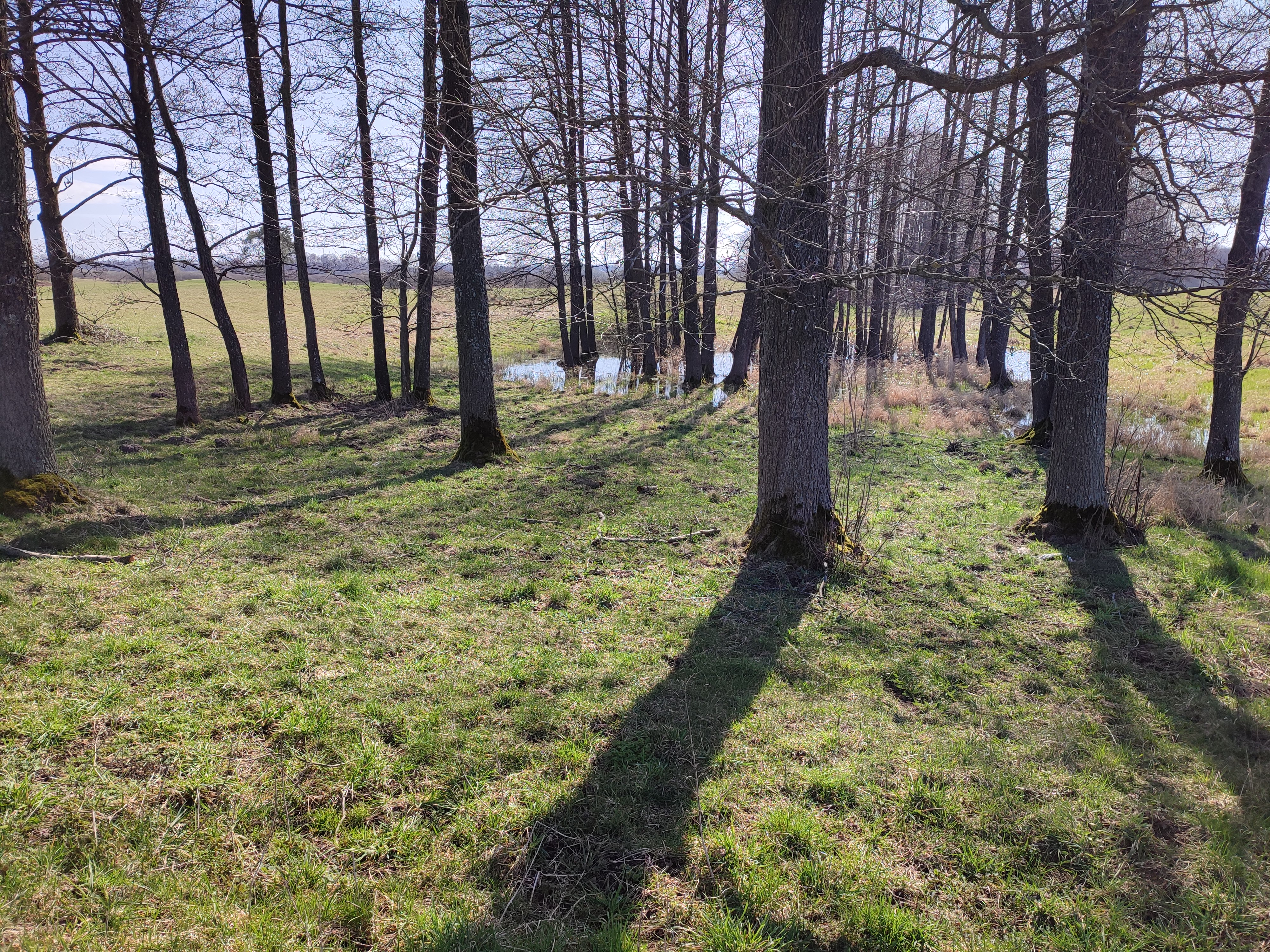 Wiosenny maraton Marycha-Wigry