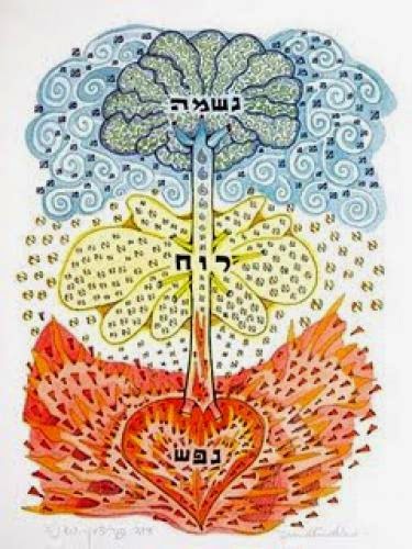 Reincarnation And Judaism