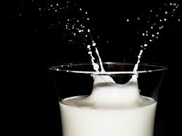  drink milk for weight loss