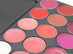 Free Lipstick & Lipgloss Makeup Palette - PINCHme