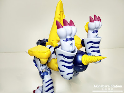 Reseña de "Digivolving Spirits 02. Metalgarurumon" de Digimon Adventure - Tamashii Nations