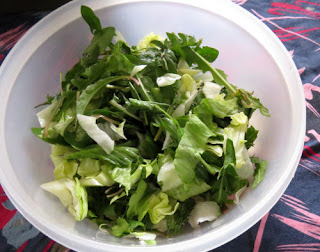 wild salad greens mixed with lettuce