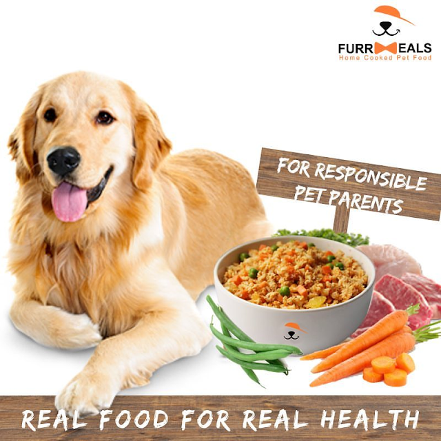 healthy food for dogs in Delhi.