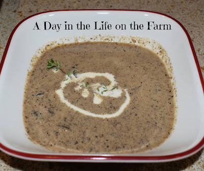 mushroom soup