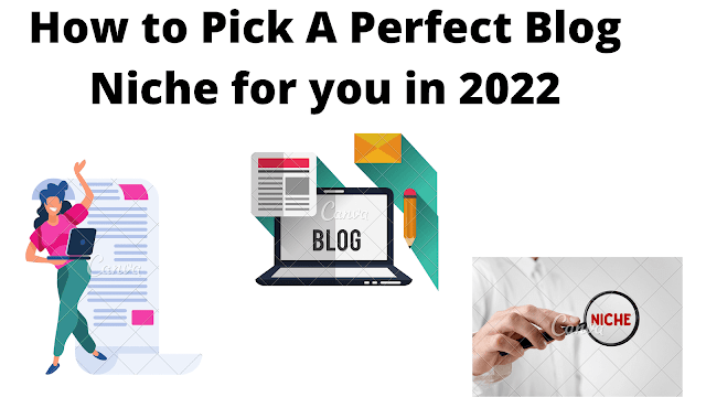 How to Pick A Perfect Blog Niche for you in 2022