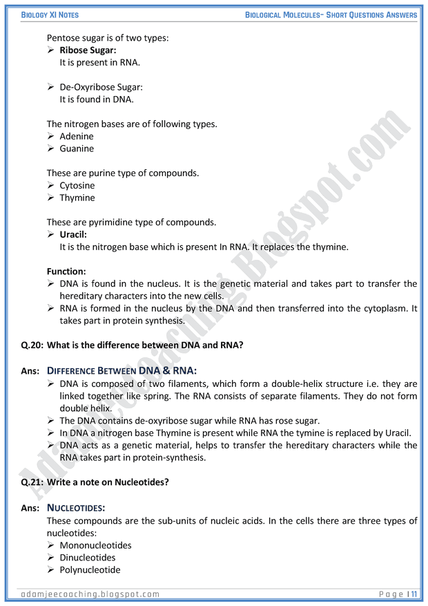 biological-molecules-short-question-answers-biology-11th