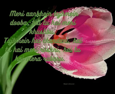 Husband Romantic Shayari, Tujhse Juda Hai Dil