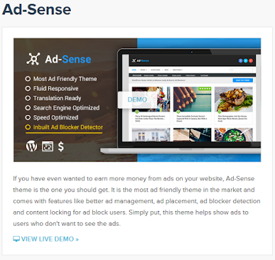 Ad-Sense, The Premium WordPress Theme with better ad management including ad blocker detection