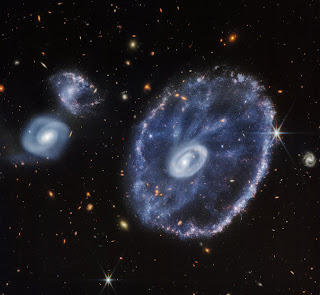 ESO 350-40, PGC 2248, AM0035-335 - Cartwheel Galaxy (near-infrared only) - Three interacting galaxies, in shades of blue. The rightmost galaxy, which is the largest, resembles a wheel with a central hub and spokes. It contains a large, oval outer ring, and a small, off-center oval ring. The rings and the space between them is filled with blue plumes and dots. The two on the left are around the same size, but smaller than the rightmost galaxy. The galaxy to the top left has many of the same features as the largest galaxy, but its shape is far more disturbed with no distinct rings, and has a few red dots. The last galaxy, below the top left galaxy, contains a blue-white core, and has a smooth texture and a distinct spiral pattern. The background of these galaxies is full of distant, orange stars and galaxies with various shapes.