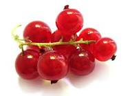 Herbs Treat And Taste Red Currants Juicy Ruby Red Berries