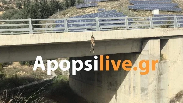 σκύλος