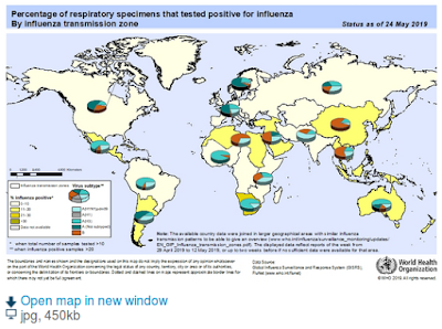 https://www.who.int/influenza/surveillance_monitoring/updates/2019_05_27_influenza_update_342.jpg?ua=1