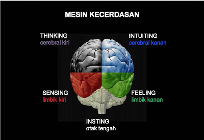 Mesin Kecerdasan STIFIn | smartbrain | Google | salsabila