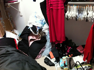 houston professional organizer, closet organizer houston