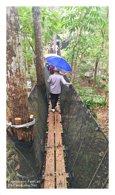 Chocolate Hills Adventure Park