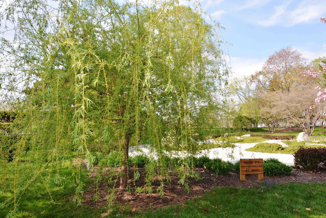 Shiojiri Garden