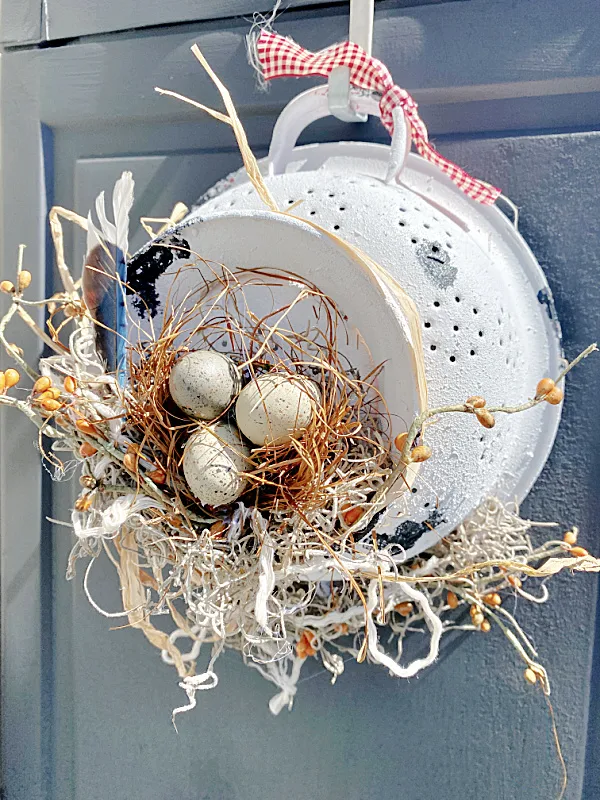 colander and bird's nest hung outdoors
