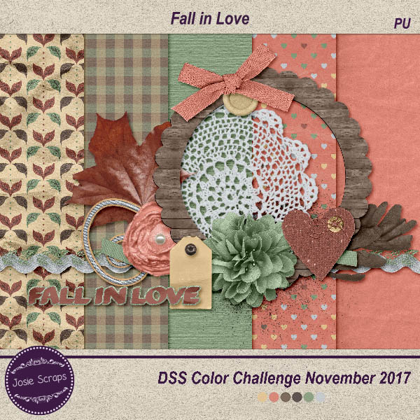 dss_cc_nov17