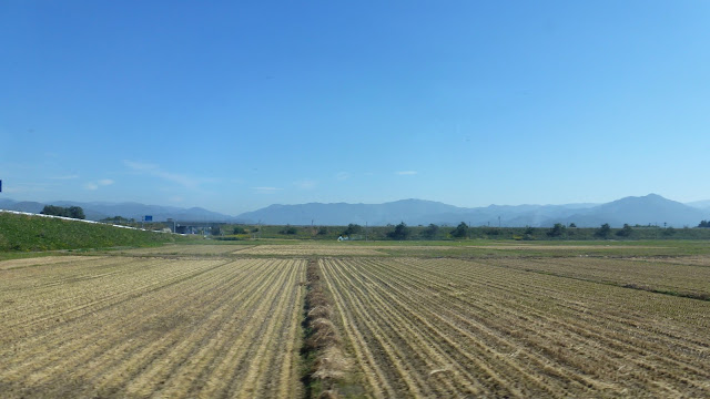 Cropped farmland