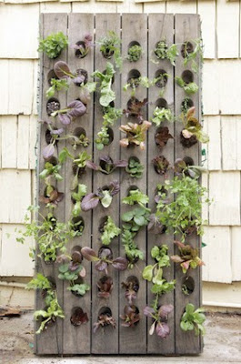 living wall