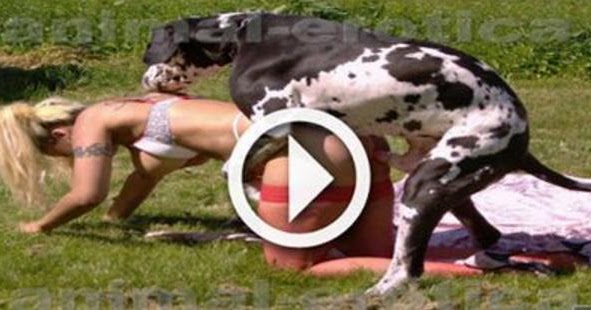 indian movies: Dogs mating with girls Dogs trying to mate ...